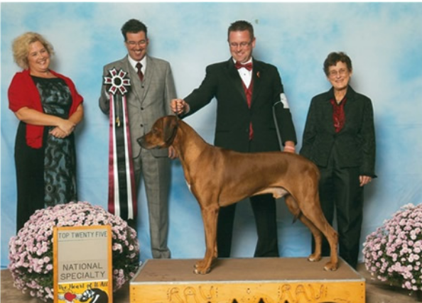 hilltop vizslas